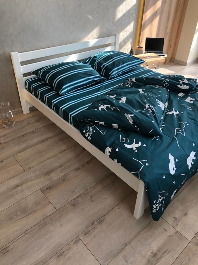 Vip Apartment У Центрі Міста, Новобуджк Театральний,Дуже Простора Rivne Eksteriør billede